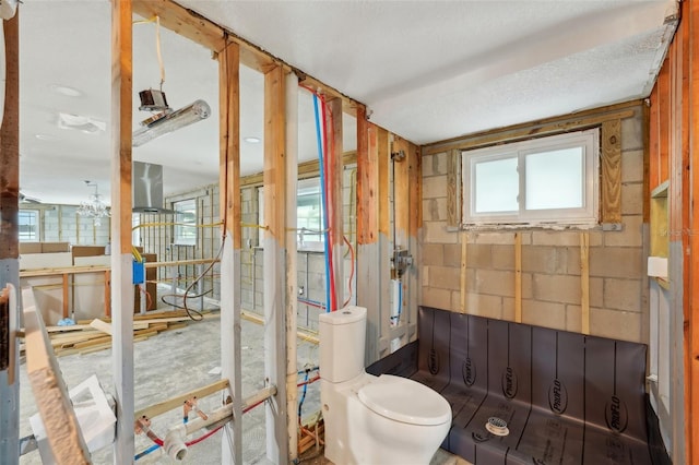 bathroom with concrete block wall and toilet