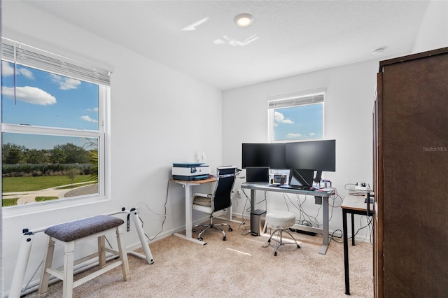 carpeted office with baseboards