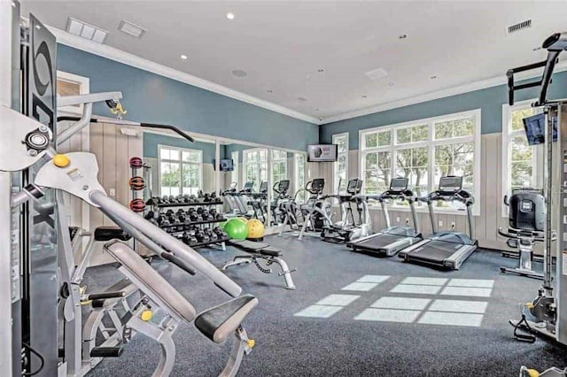 workout area with ornamental molding and visible vents