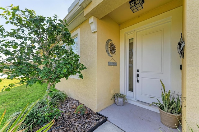 view of exterior entry with stucco siding