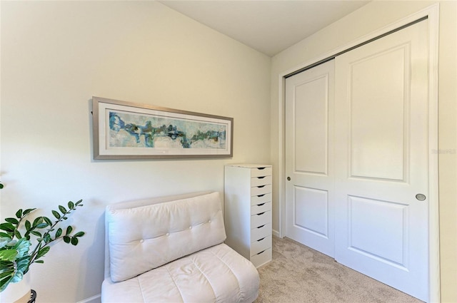 sitting room featuring carpet flooring