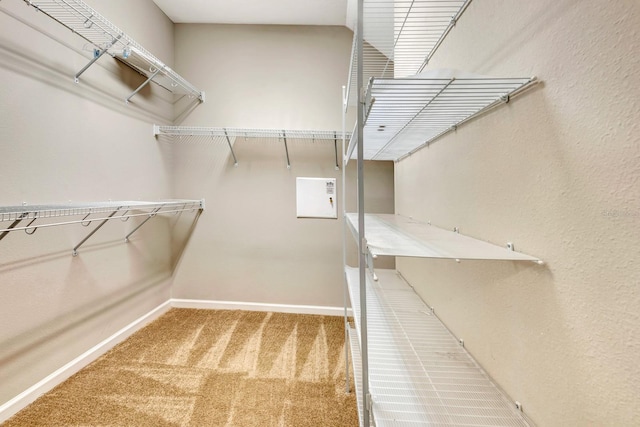 walk in closet with carpet