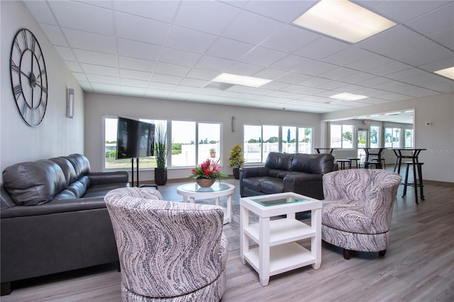 living room with light wood-type flooring and a paneled ceiling