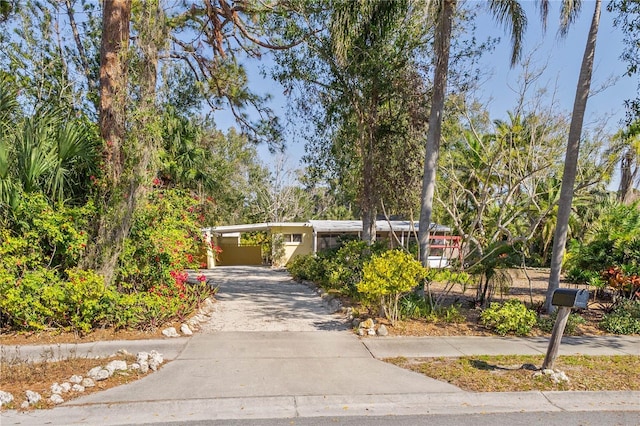 view of community featuring a carport and decorative driveway