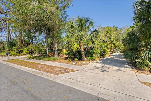 view of street with concrete driveway and sidewalks