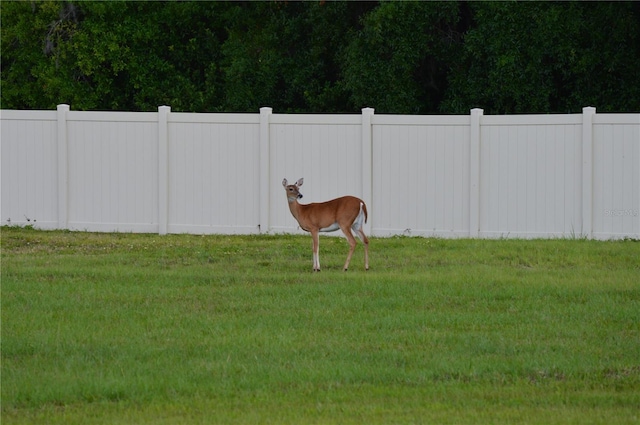 view of yard with fence