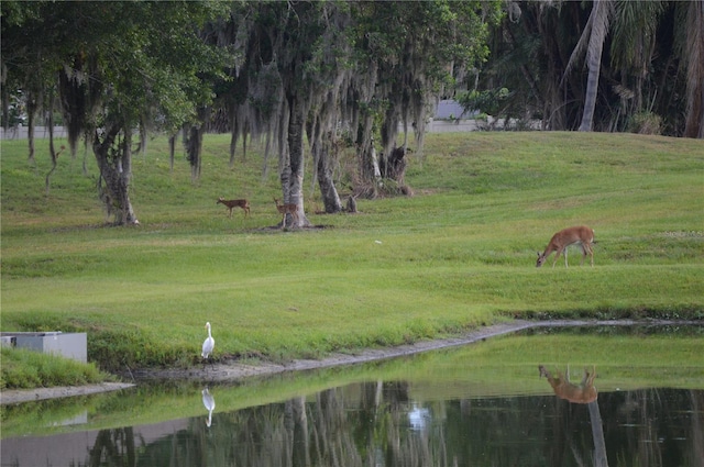 view of community with a yard and a water view