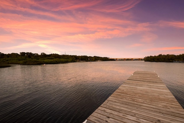 dock area featuring a water view