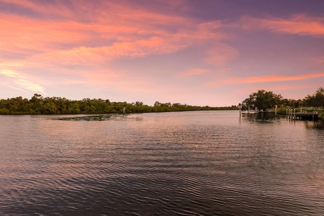 property view of water