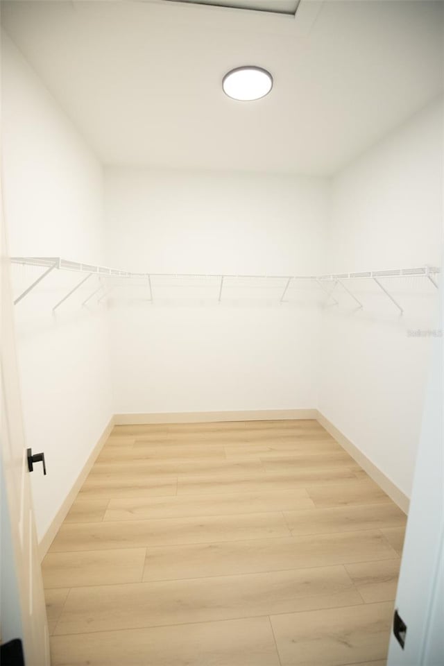 walk in closet with light wood finished floors