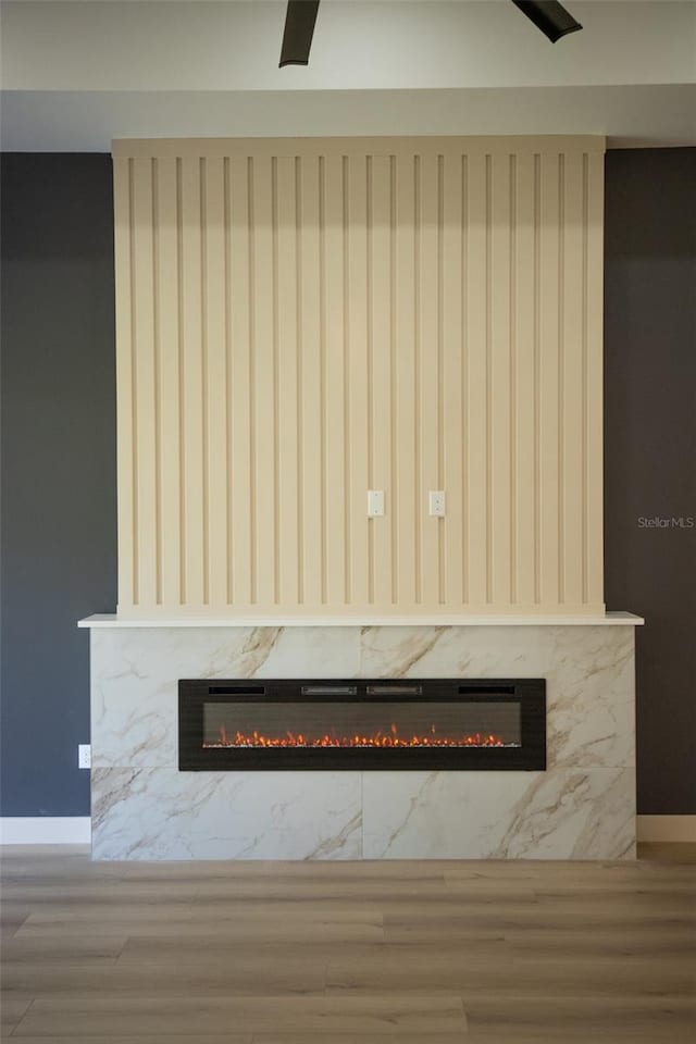 room details featuring a premium fireplace, wood finished floors, and baseboards