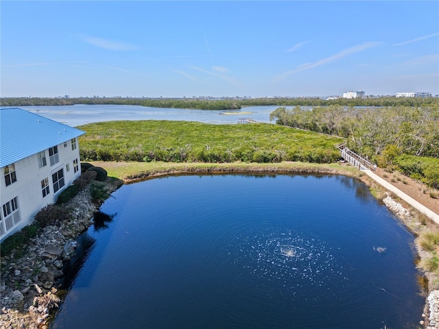 drone / aerial view with a water view