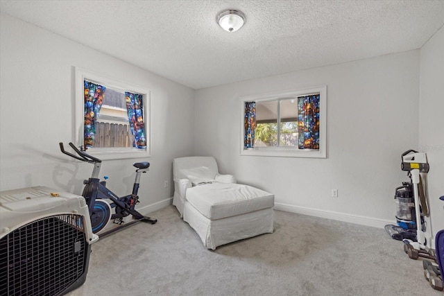 sitting room with a textured ceiling, carpet flooring, and baseboards