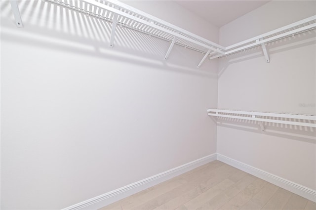 spacious closet featuring light wood-type flooring