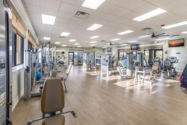 exercise room featuring ceiling fan, a drop ceiling, wood finished floors, and visible vents