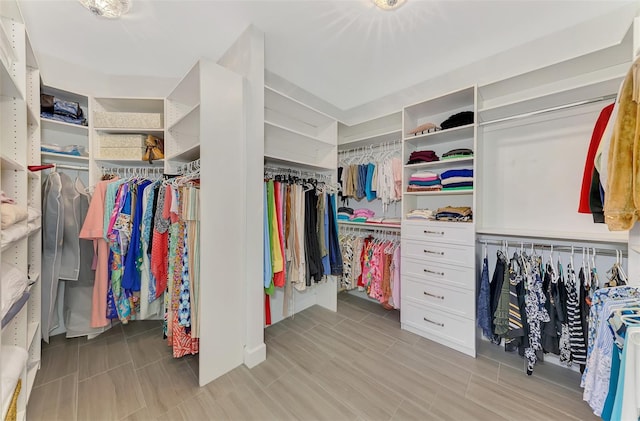 view of spacious closet