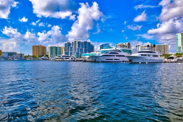 water view with a view of city