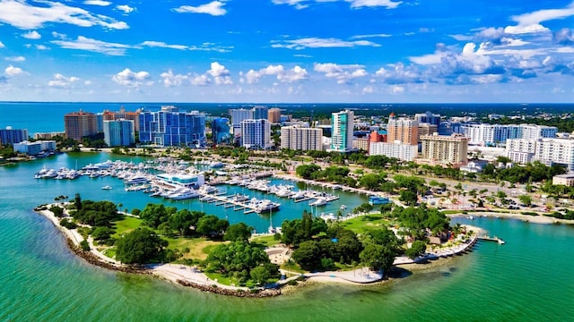 drone / aerial view featuring a city view and a water view