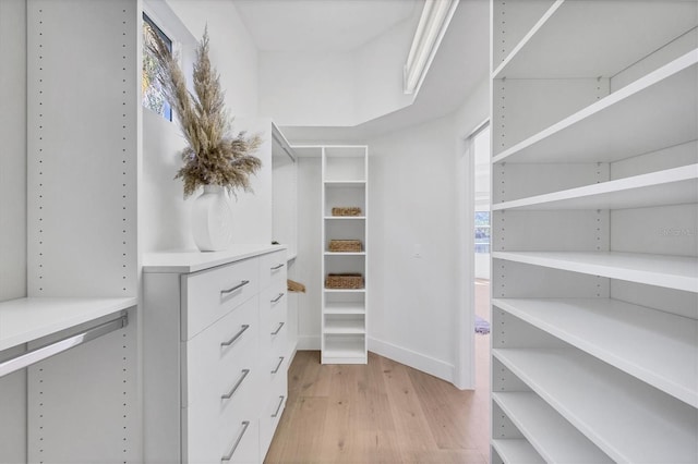 spacious closet featuring light wood finished floors