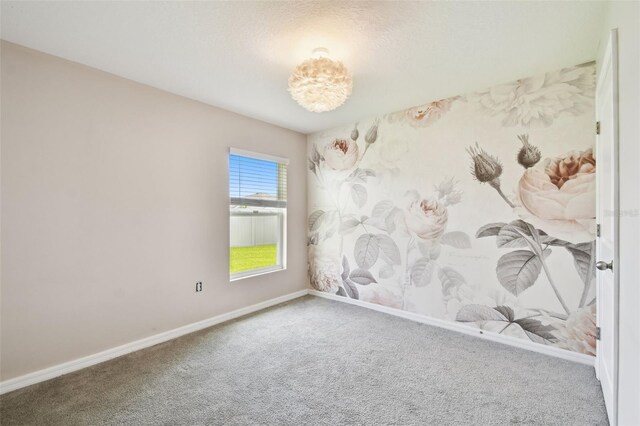 4918 Gray Owl Ter, Palmetto, FL 34221 - carpeted spare room featuring baseboards and a textured ceiling