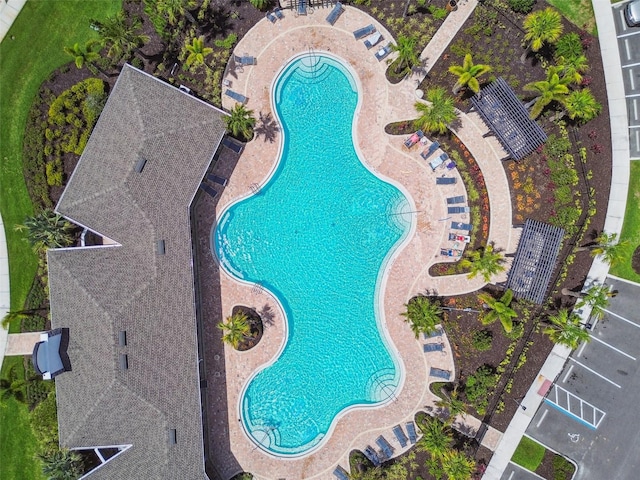 4918 Gray Owl Ter, Palmetto, FL 34221 - view of pool