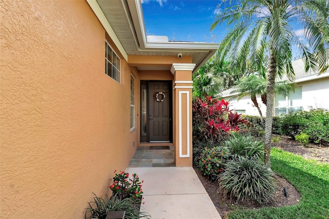 view of exterior entry with stucco siding