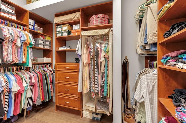 spacious closet featuring light wood-type flooring