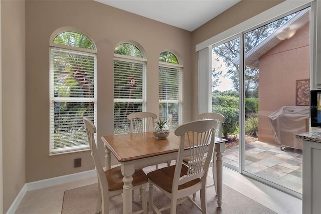 dining area featuring baseboards and a wealth of natural light