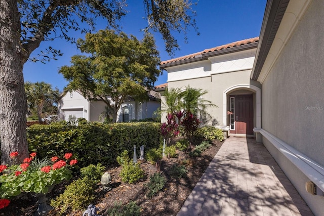 entrance to property with a tile roof and stucco siding