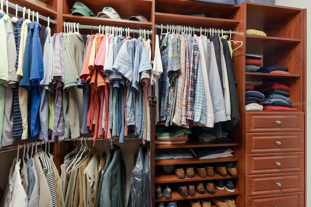 view of closet