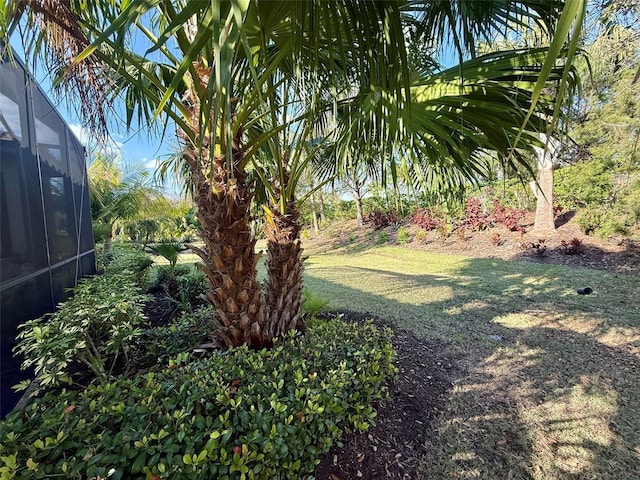 5031 Serata Dr, Bradenton, FL 34211 - view of yard with glass enclosure