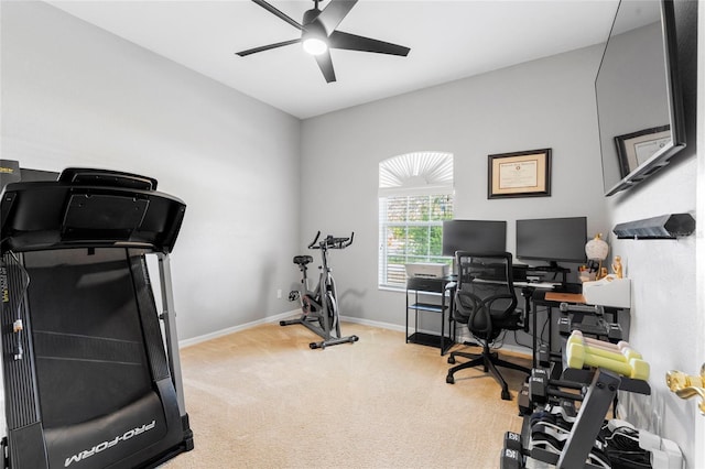 office space featuring ceiling fan, carpet, and baseboards