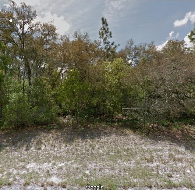 Listing photo 2 for 0 SW 146th Lane Rd, Ocala FL 34473