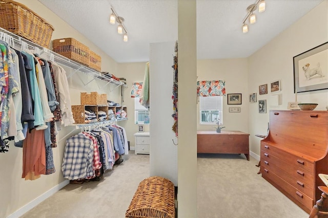 spacious closet featuring carpet floors