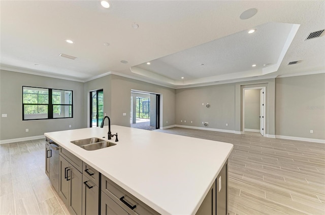 kitchen with open floor plan, a sink, and a raised ceiling