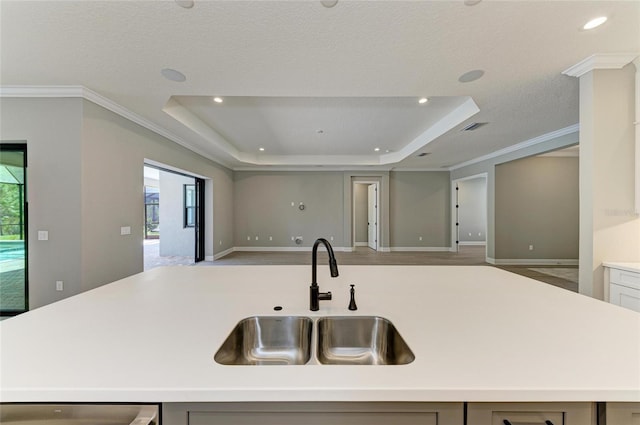 kitchen featuring visible vents, open floor plan, a sink, and a raised ceiling