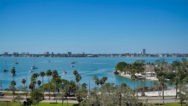 401 S Palm Ave Unit 801, Sarasota, FL 34236 - water view with skyline