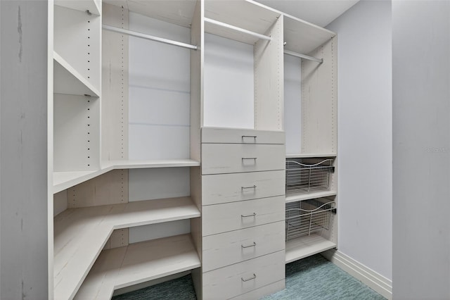 401 S Palm Ave Unit 801, Sarasota, FL 34236 - view of walk in closet