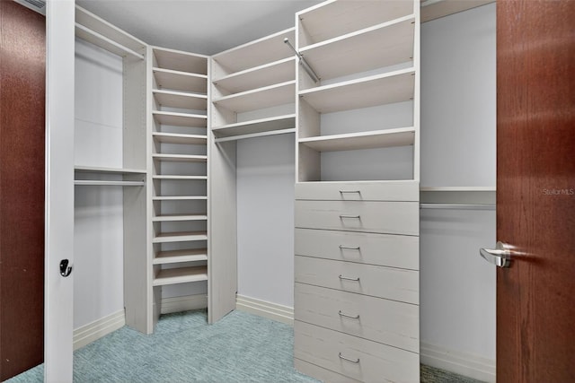 401 S Palm Ave Unit 801, Sarasota, FL 34236 - spacious closet with carpet