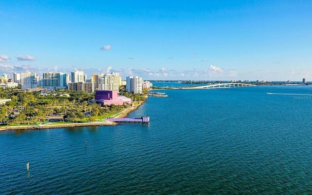 water view with a view of city