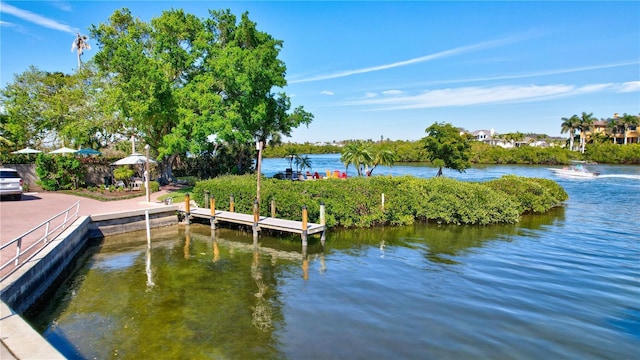 dock area with a water view