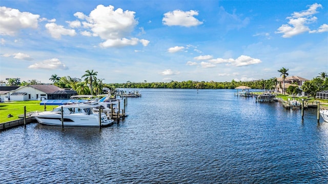 dock area with a water view