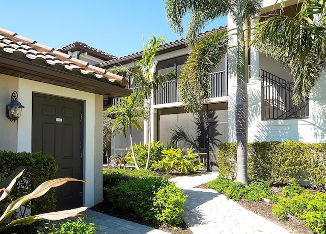 doorway to property featuring stucco siding and a tile roof