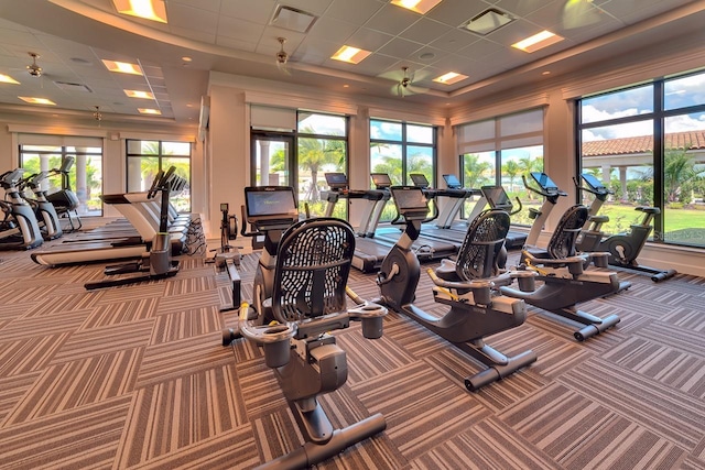 workout area featuring visible vents, a healthy amount of sunlight, and carpet flooring