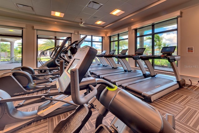 exercise room featuring a paneled ceiling, carpet floors, plenty of natural light, and visible vents