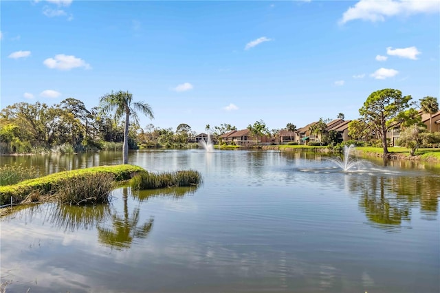 water view with a residential view