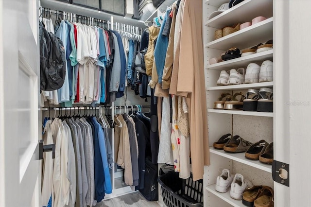 view of spacious closet