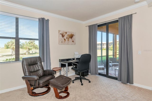 home office with carpet, crown molding, and baseboards