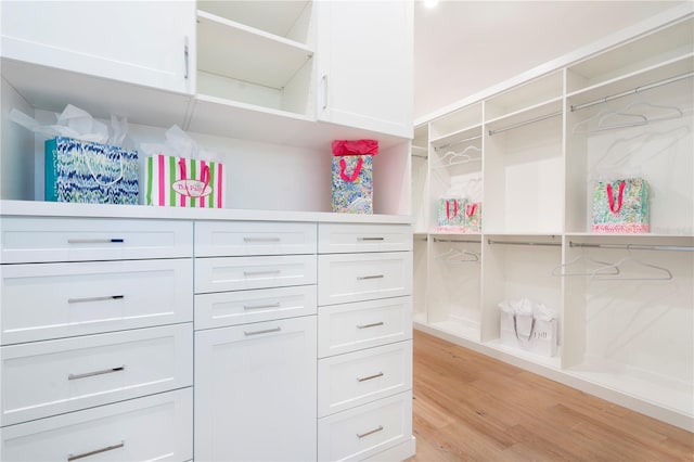 5103 Windward Ave, Sarasota, FL 34242 - walk in closet with light wood-type flooring