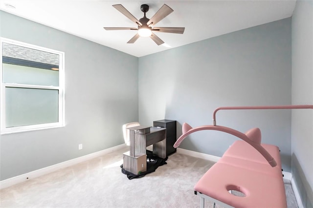 office space with a ceiling fan, carpet flooring, and baseboards